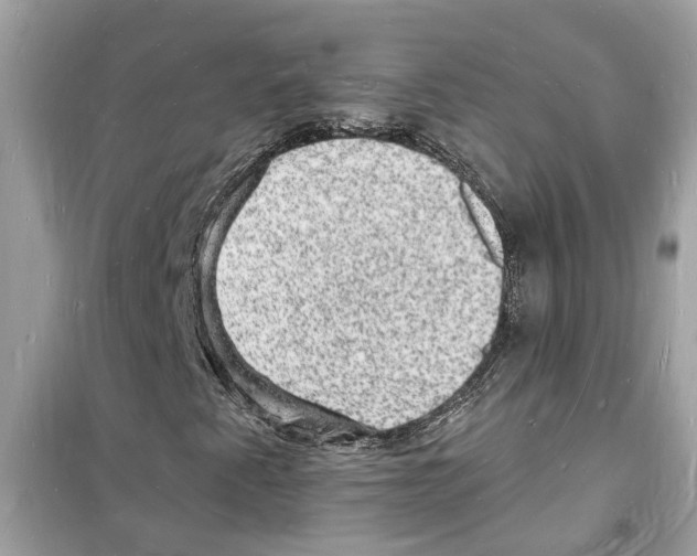 X0000098231345200805221702