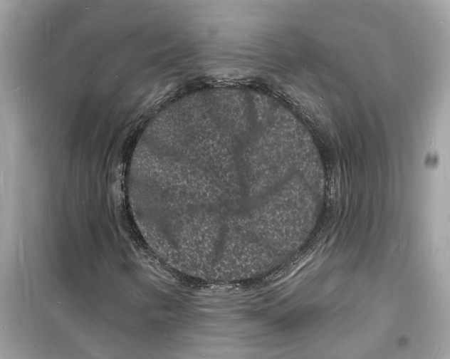 X0000098231346200805221702