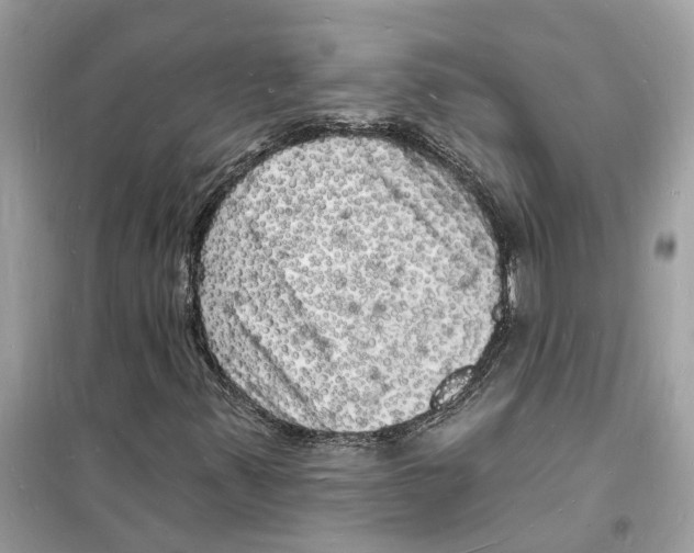 X0000098231347200805221702