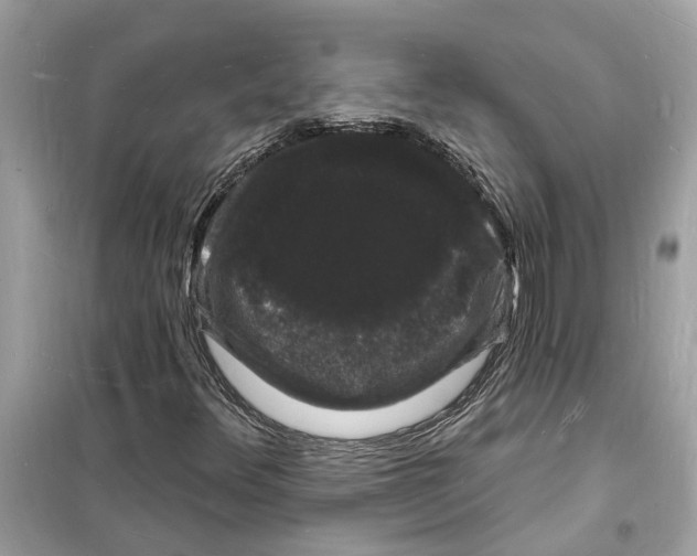 X0000098231348200805221702