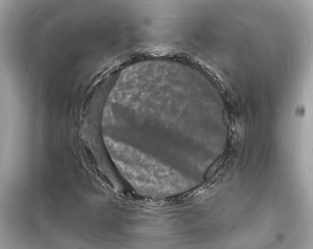 X0000098231349200805221701