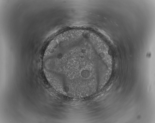 X0000098231350200805221701