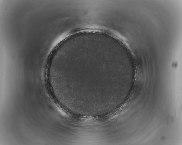 X0000098231352200805221701