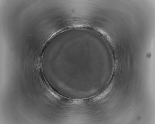 X0000098231353200805221701