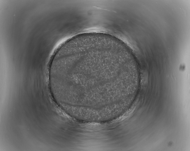 X0000098231358200805221701