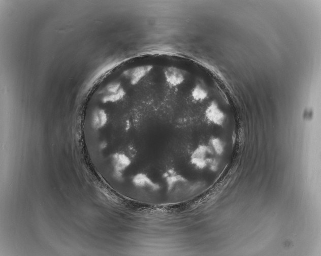 X0000098231359200805221701