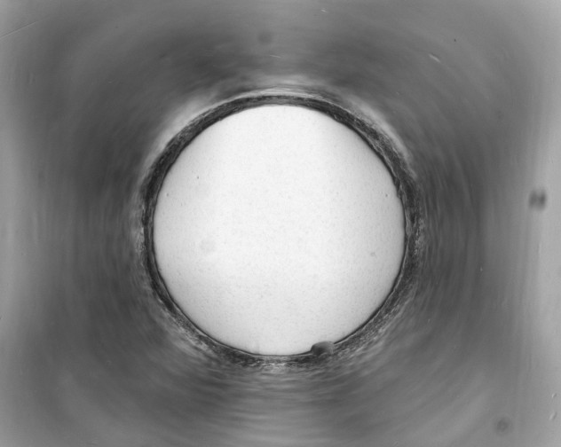 X0000098231360200805221701