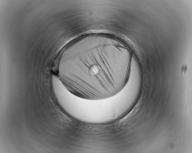 X0000098231361200805221701