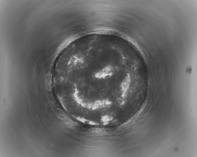 X0000098231362200805221701