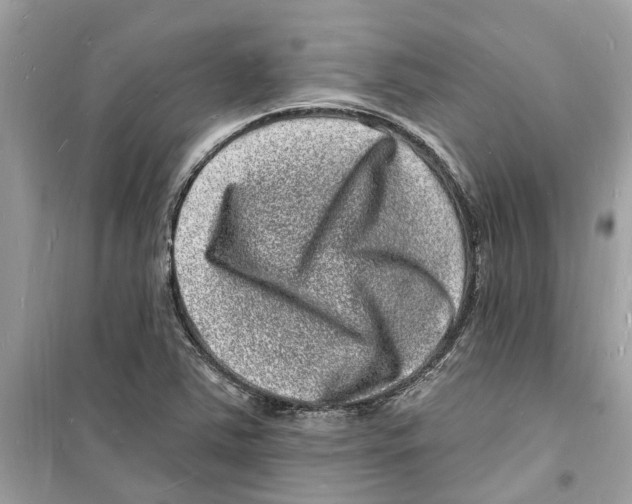 X0000098231363200805221701