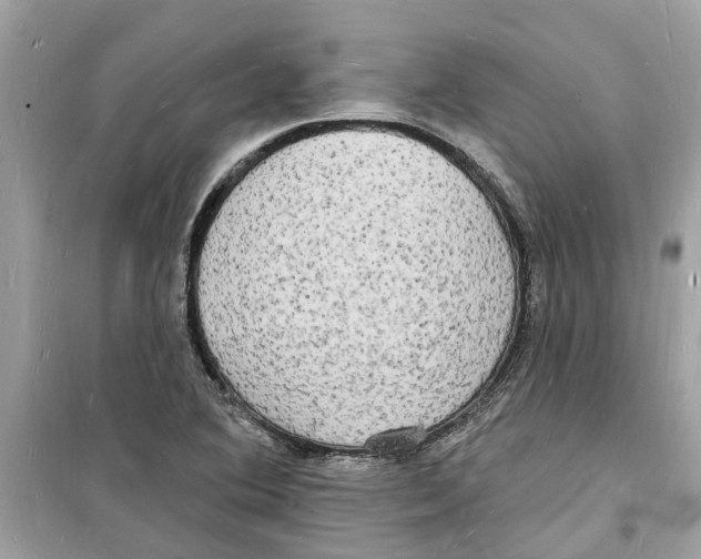 X0000098231364200805221701