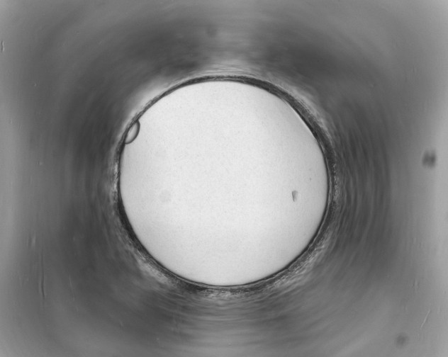 X0000098231366200805221701