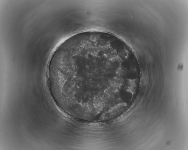 X0000098231367200805221701