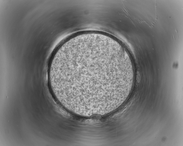 X0000098231368200805221701