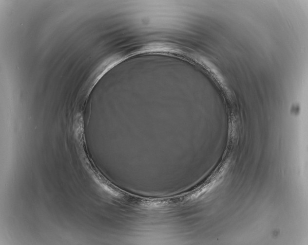 X0000098231369200805221701