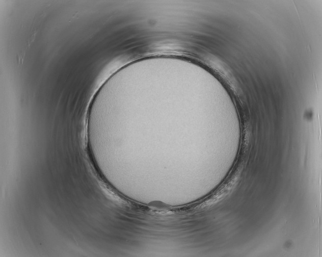 X0000098231370200805221701