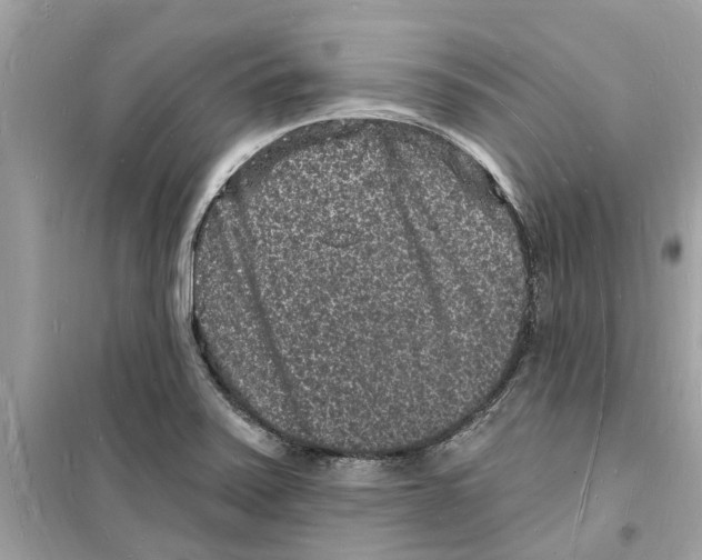 X0000098231371200805221701