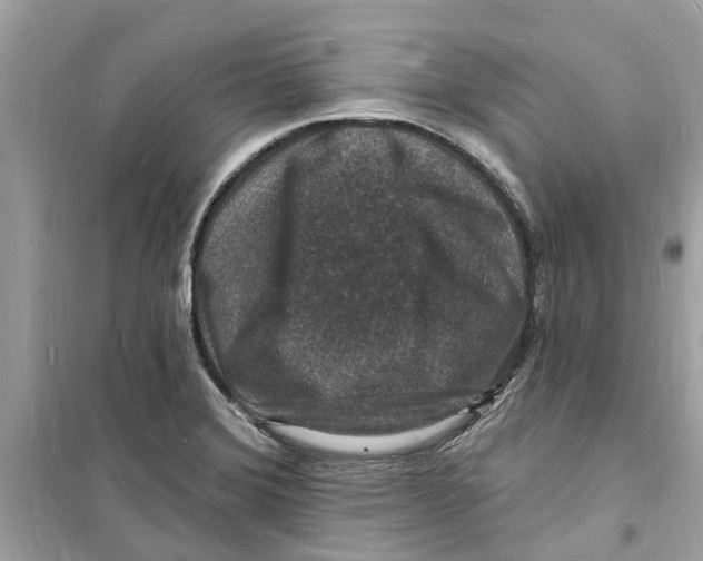 X0000098231372200805221701