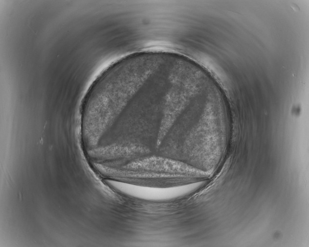 X0000098231376200805221701