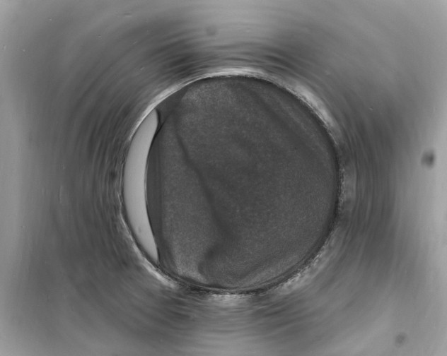 X0000098231377200805221701