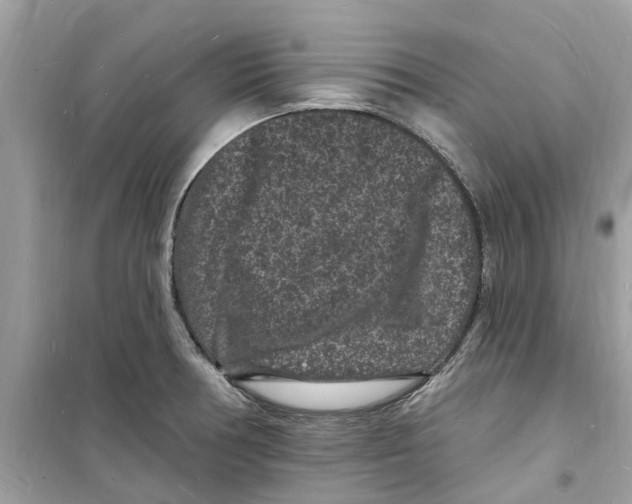 X0000098231378200805221701