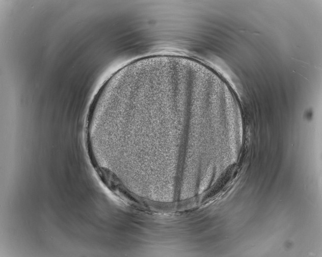 X0000098231379200805221701