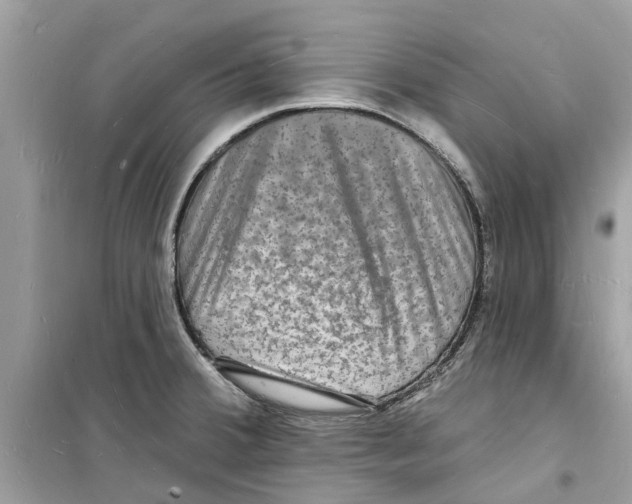 X0000098231380200805221701