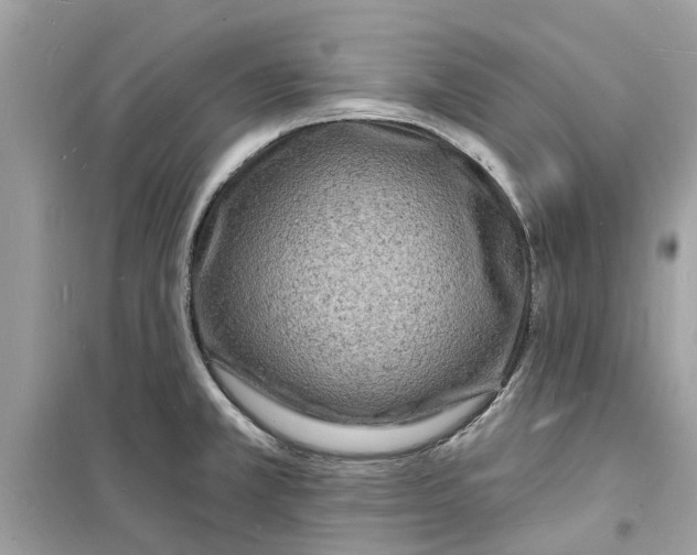 X0000098231381200805221701