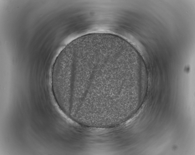 X0000098231382200805221701