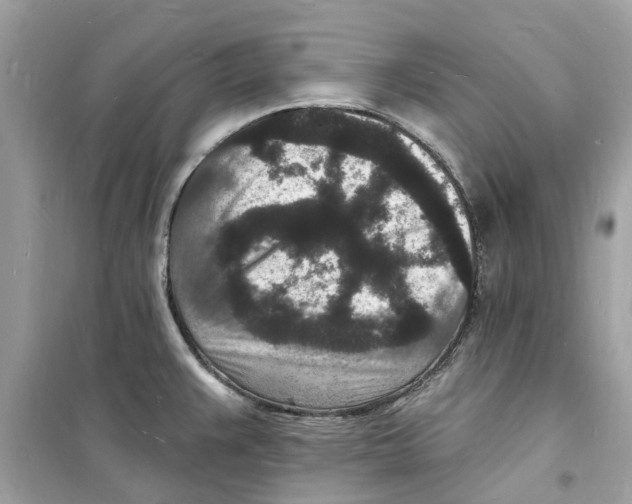 X0000098231383200805221701