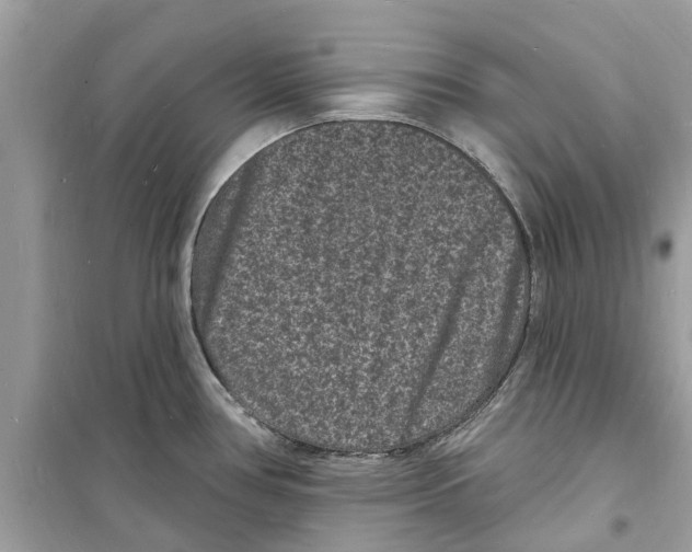 X0000098231386200805221701