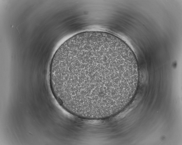 X0000098231387200805221701