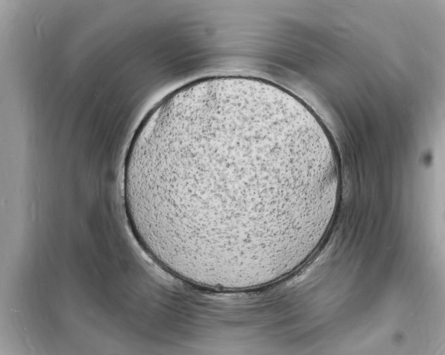 X0000098231388200805221701