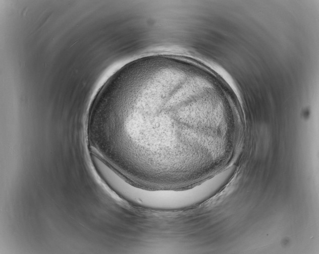 X0000098231389200805221701