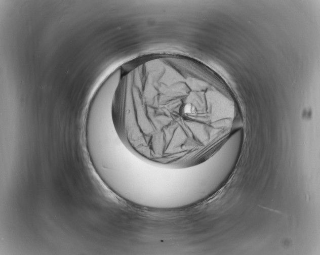 X0000098231392200805221701