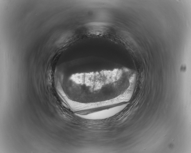 X0000098231394200805221700