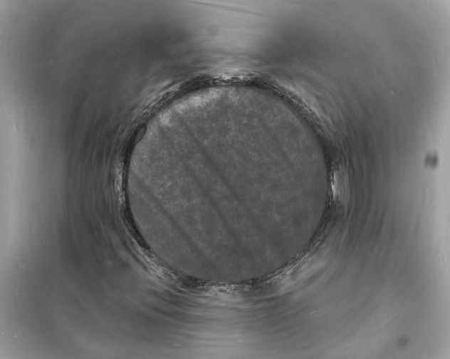 X0000098231396200805221700