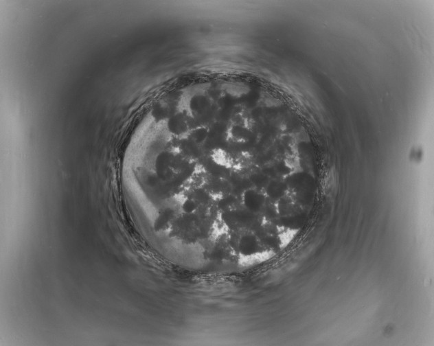 X0000098231397200805221700