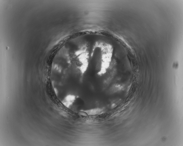 X0000098231399200805221700