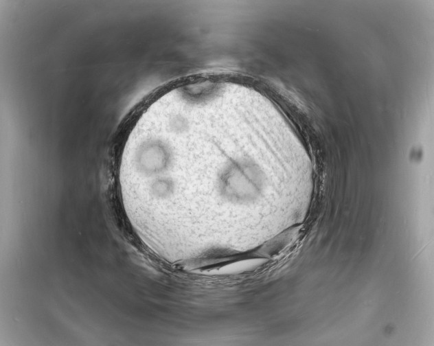 X0000098231400200805221700