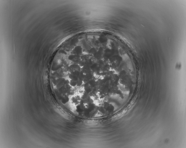 X0000098231401200805221700