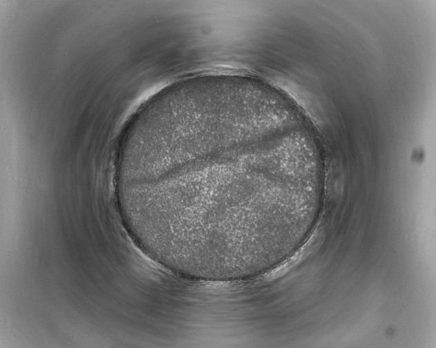 X0000098231402200805221700