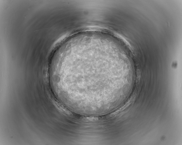 X0000098231403200805221700