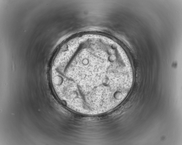 X0000098231404200805221700