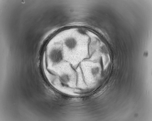 X0000098231406200805221701