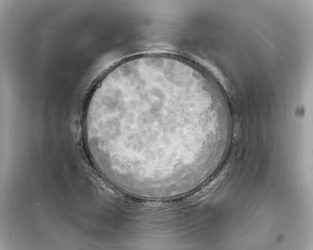 X0000098231407200805221701