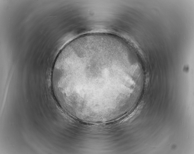 X0000098231409200805221701