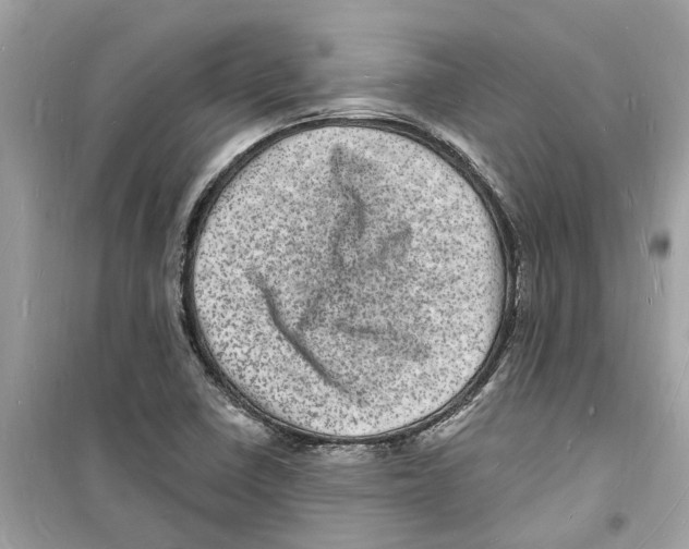 X0000098231410200805221701