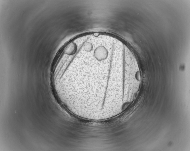 X0000098231412200805221701