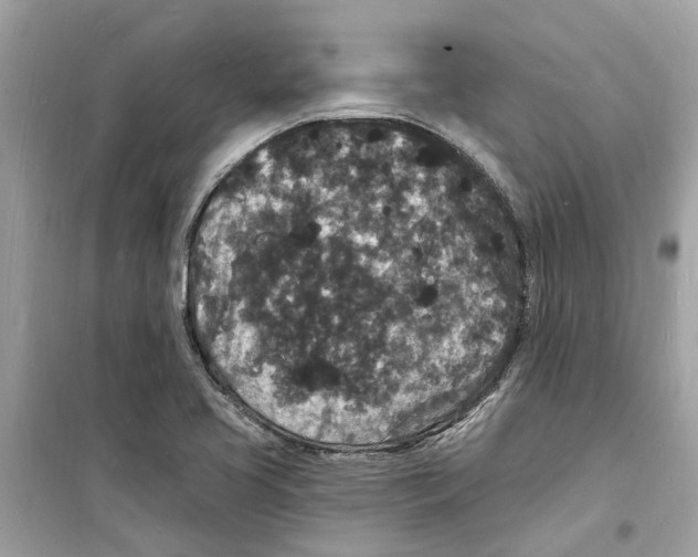 X0000098231413200805221701